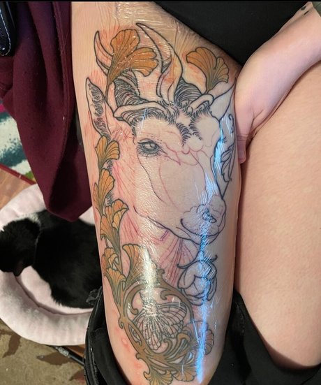 PushingUpRoses star top pics