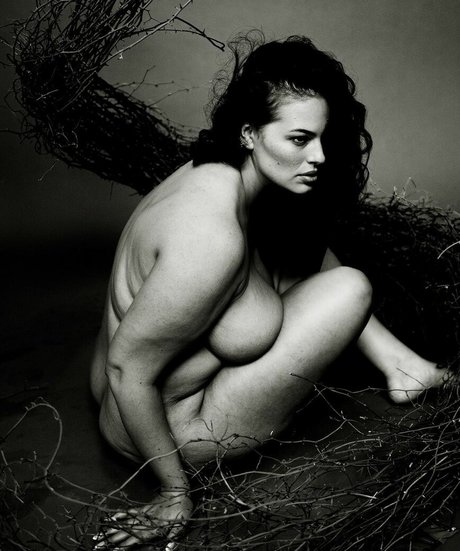 Ashley Graham model perfect picture