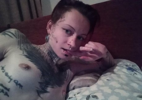 jokers free perfect star gallery