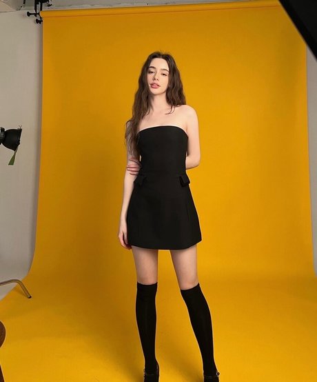 Dasha Taran nude pornstar galleries