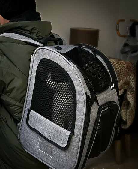 sulis minerva pornstar nice archive