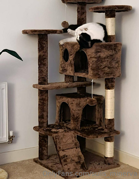 sulis minerva pornstar sex gallery