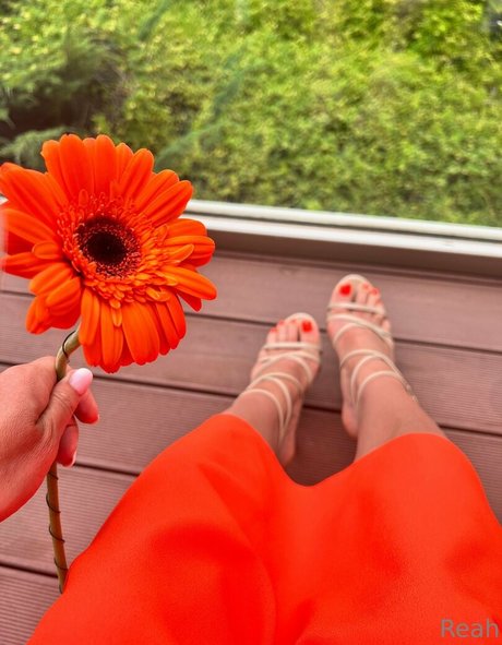 cheekysoles333 pornstar hd galleries