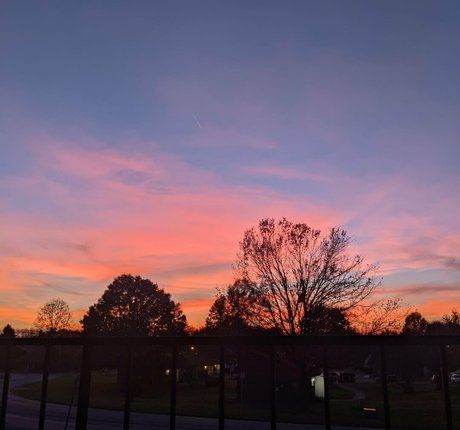 dream candy sexy star archive