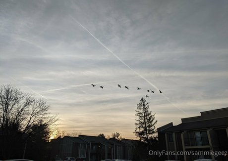 dream candy model xxx galleries