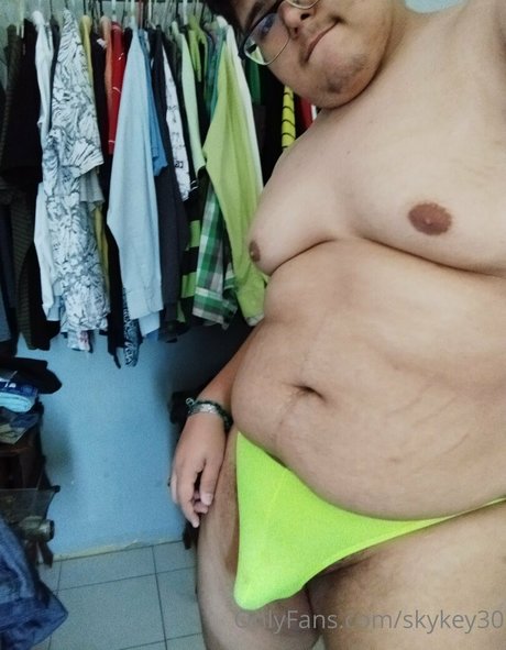 skykey30 model nice archive