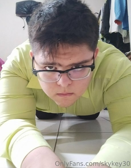 skykey30 model top image