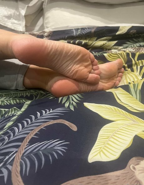 dsb2022 sexy star photos