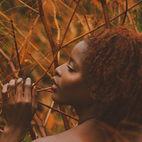 Sayhellojess art star images