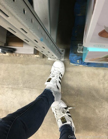 sammysole star adult picture