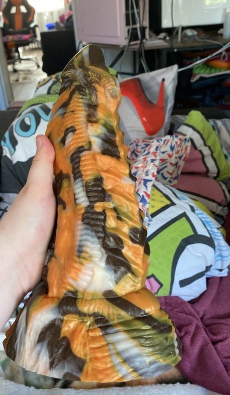 vinny bun star beautiful archive