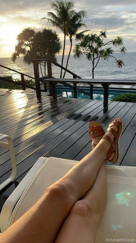 kittenwithfangsfree Profile pic