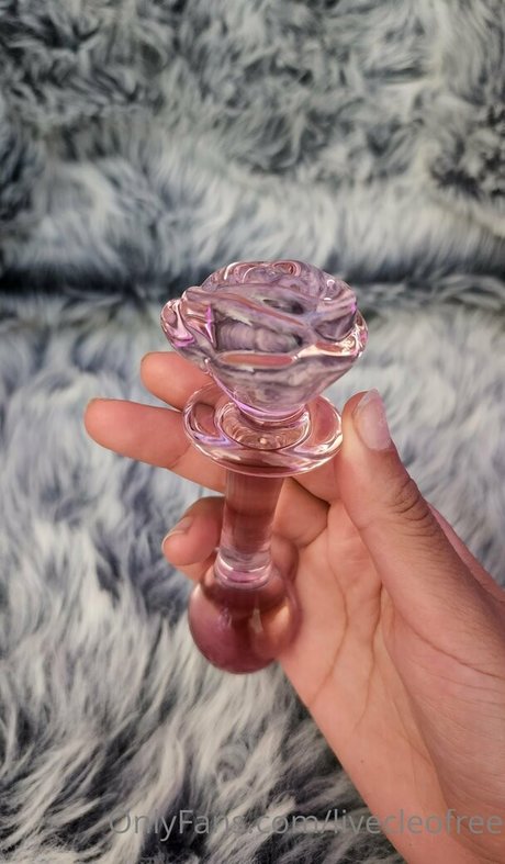 livecleofree pornstar perfect galleries