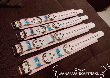 iutopia star high quality galleries