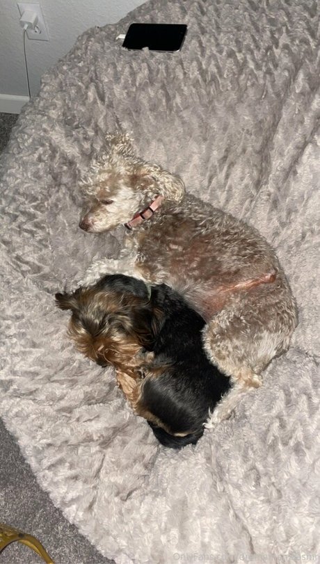 dramamamaasmr model xxx images