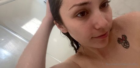 Lexipoll perfect star pictures