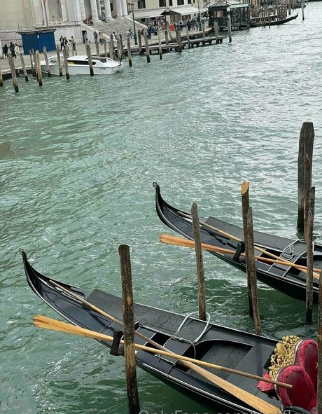 Wetfleur pornstar top img