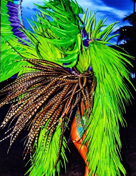 babe brunette onlyfans nice photos