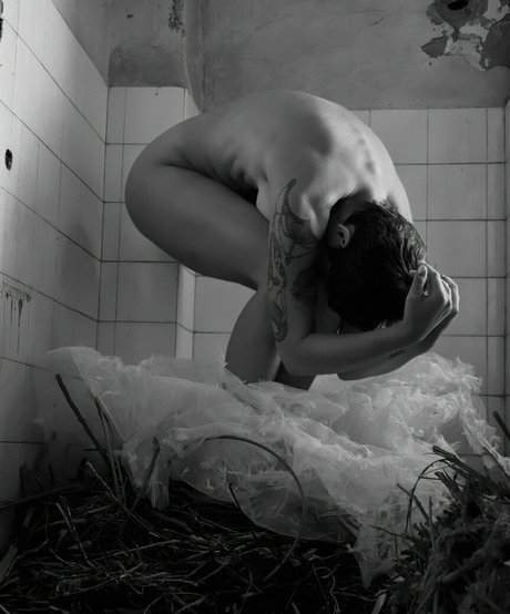 Miss lady bug hd star gallery