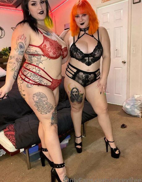 alicexfree pornstar best image