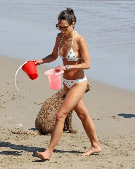 Jordana Brewster erotic actress archive