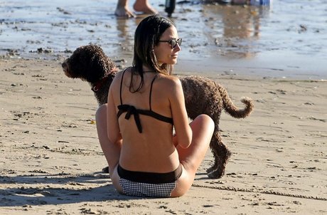 Jordana Brewster pornstar sexy archive