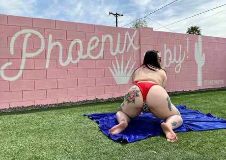 naughtynyxiefree pornstar art photo