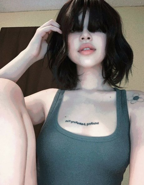 Daisyrot top star images