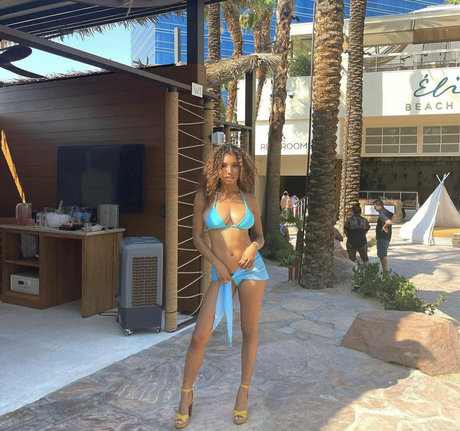 brookliynwren star top picture