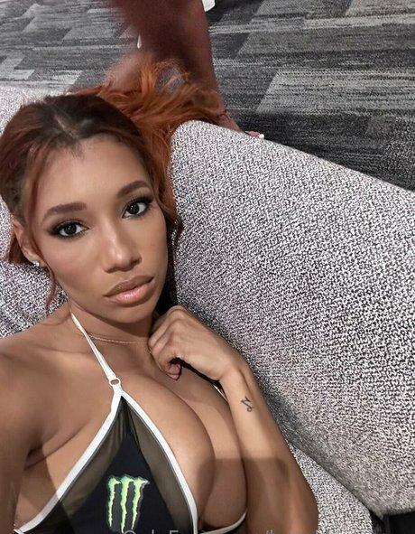 brookliynwren model hd archive