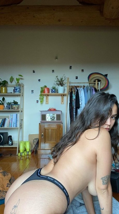 Sugar plump princess model adult pic