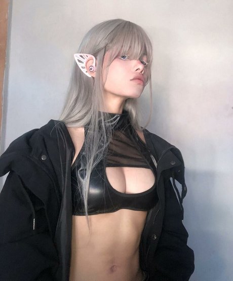 Vamp car top star image