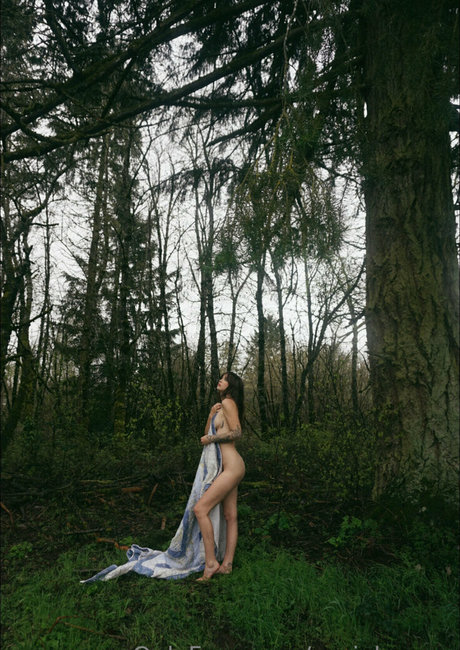 Acacia Kersey art star img