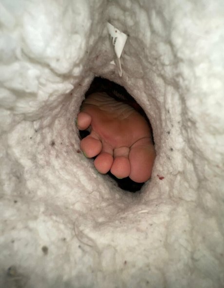 preciousssgemm pretty star images