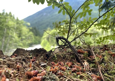 deargoddesssara high quality actress photos