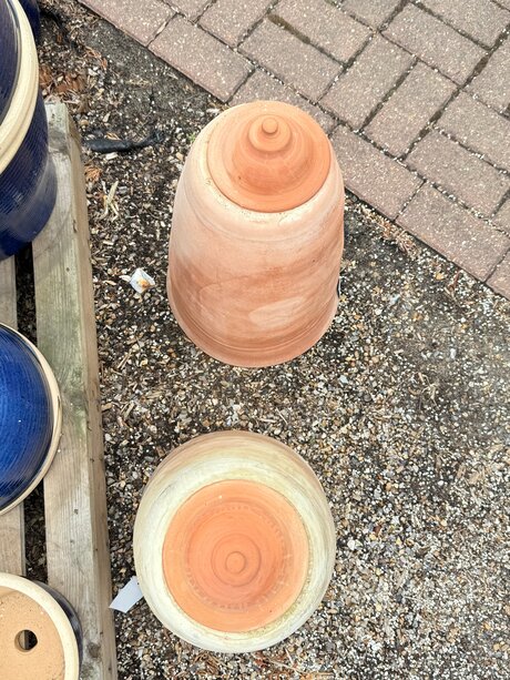 Evelynwhite pornstar adult pics