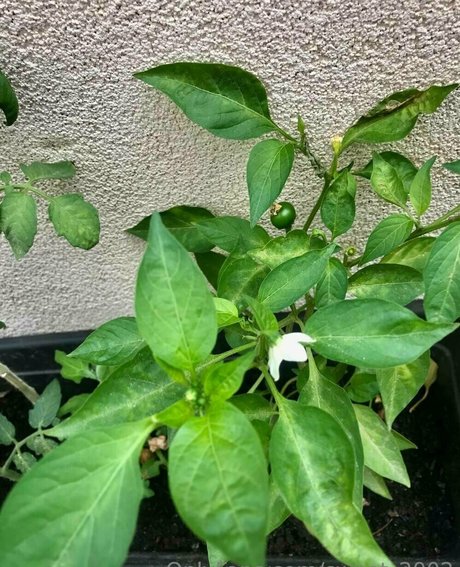 fit blonde onlyfans sexy nudes images