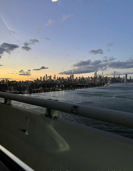 joyythestallion art star archive