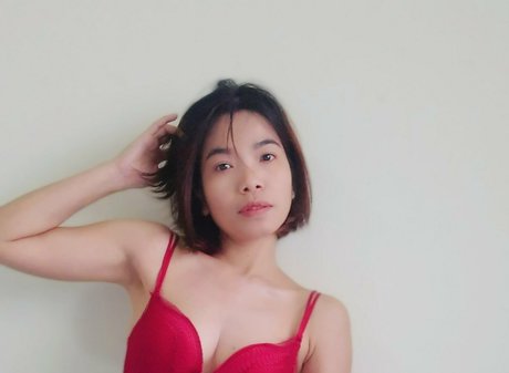 ninnie9595 beautiful star galleries