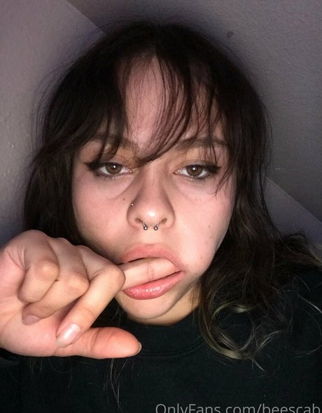 scabbee model top picture