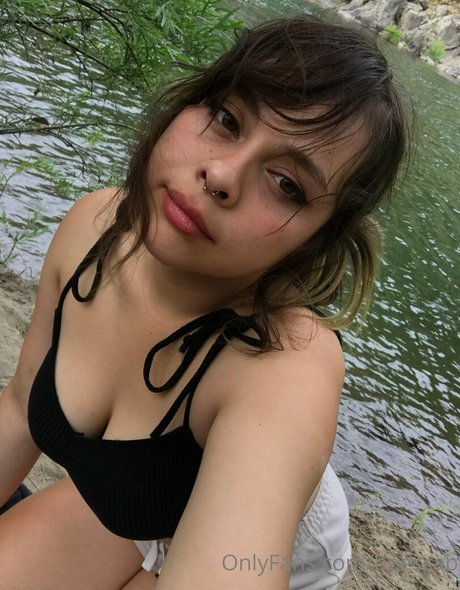 scabbee star free photo