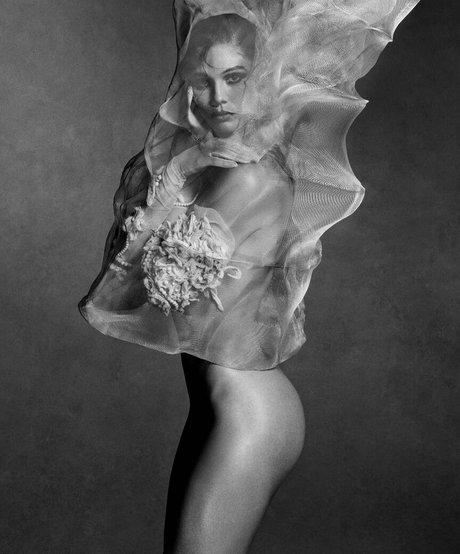 Cambrie Schroder pornstar adult pictures