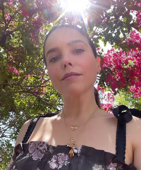 Sophia Bush high quality star image