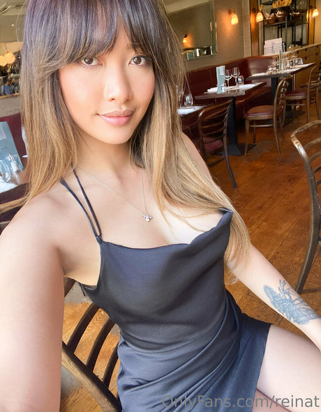 reinat model top gallery