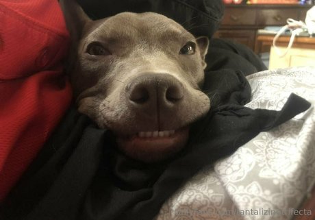 tantalizingtrifecta star exclusive pics