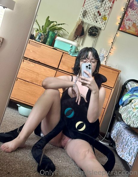 sleepy raccoon hd model photos