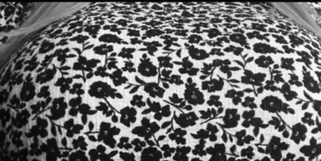 BustyQueen32M exclusive star archive