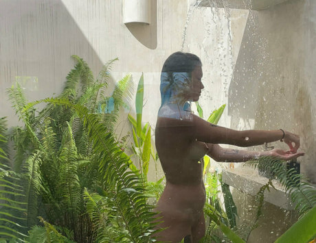 lanuitdestemps star perfect gallery