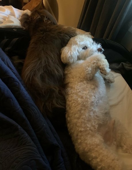 Soyacide xxx model picture