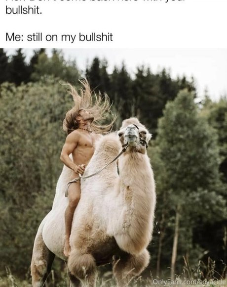 Soyacide art model pictures